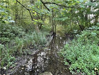 Amport Fen Update